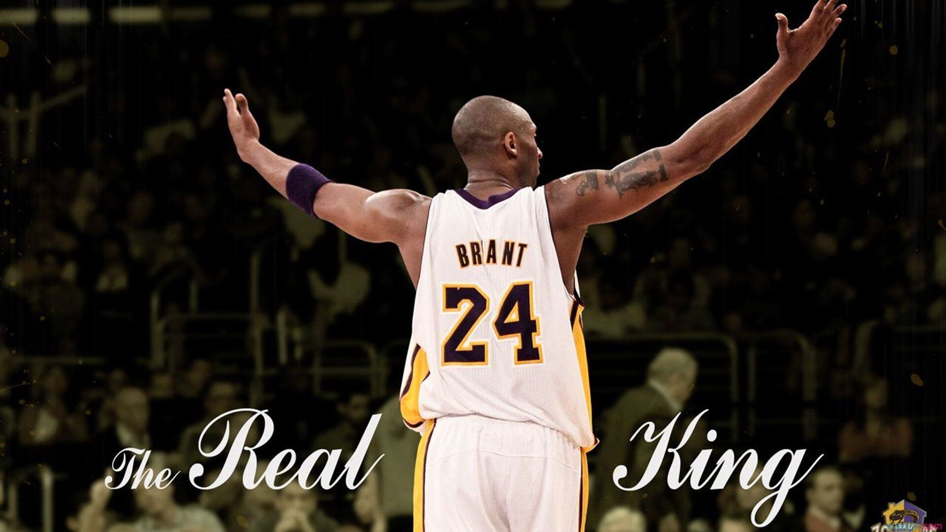 AYX体育赛事-统治力再现，詹姆斯末节统治力让悬念提前终结，骑士体系强压魔术青春风暴